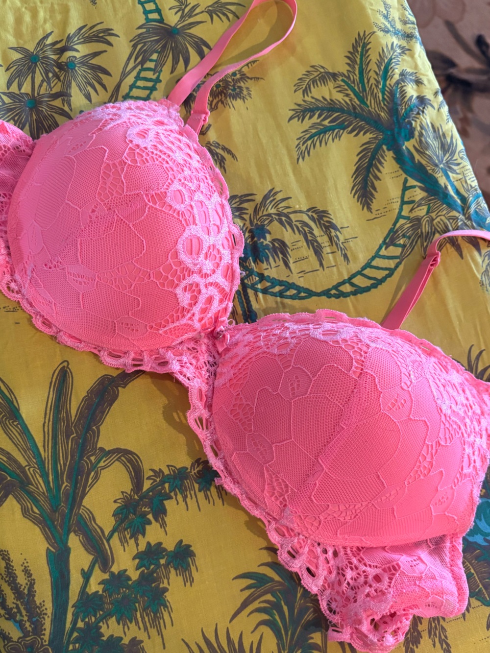 🌿5/$25 XOXO Bright Pink Lace Push-Up Bra
